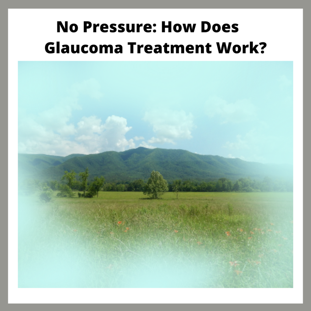a picture of what someone's vision will look like with glaucoma, and the title of this blog post