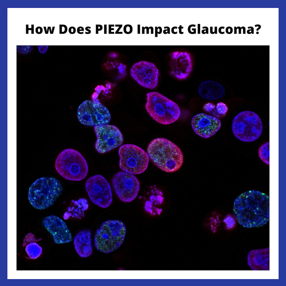 images of cells