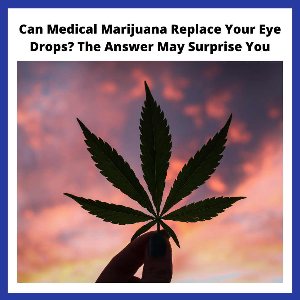 a marijuana leaf in the sunset with the title of the blog post up above