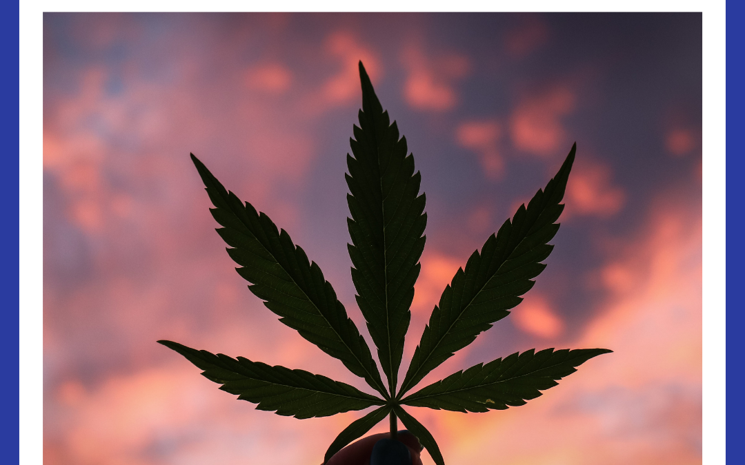 Can Medical Marijuana Replace Your Glaucoma Eyedrops? The Answer May Surprise You
