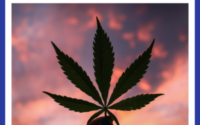 Can Medical Marijuana Replace Your Glaucoma Eyedrops? The Answer May Surprise You